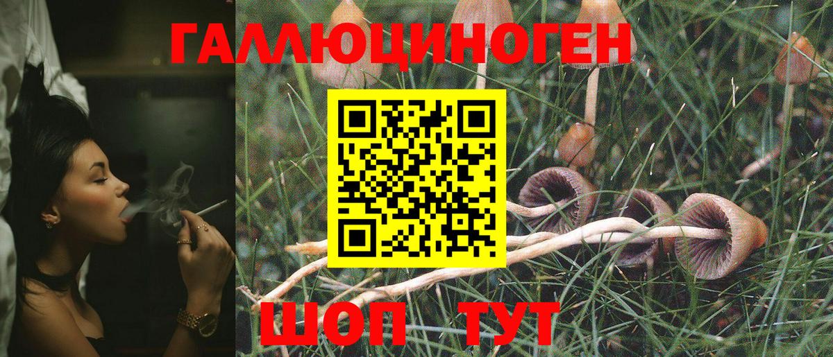 Псилоцибиновые грибы Magic Shrooms  Вход с VPN  Салават  Псилоцибиновые грибы мухоморы 